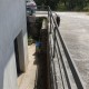 20260720_111202_resized