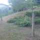 VISTA TERRENO